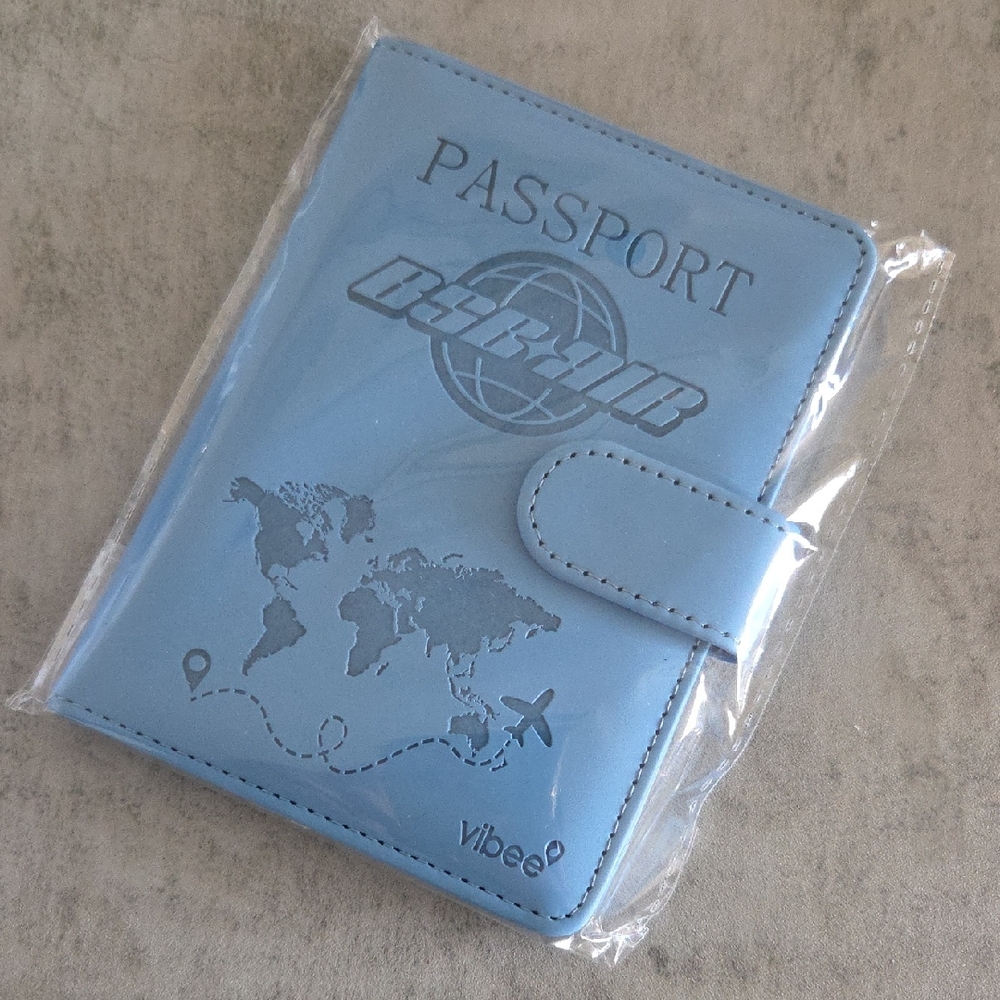 BSB Backstreet Boys Passport Case